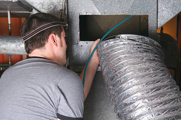 Best Air Duct Mold Removal  in Issaquah, WA