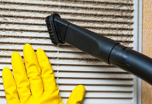Air Duct Mold Removal in WA